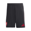 Liverpool Soccer Shorts Custom  2025/26 Away