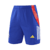 Spain Soccer Shorts Pre-Match